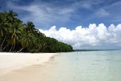 With plenty of beaches in Andaman, you are going to have a remarkable journey here.