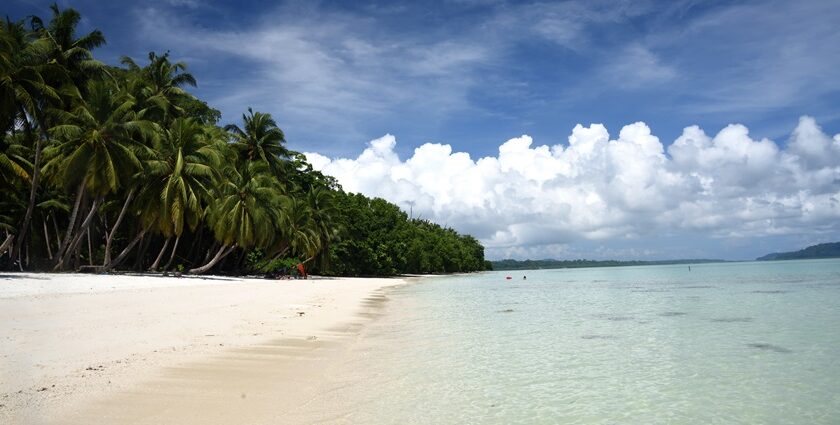 With plenty of beaches in Andaman, you are going to have a remarkable journey here.