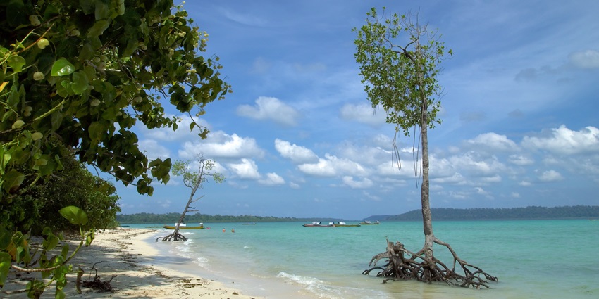 View of Havelock Island, one of the top places to visit in Andaman and Nicobar in 5 days.