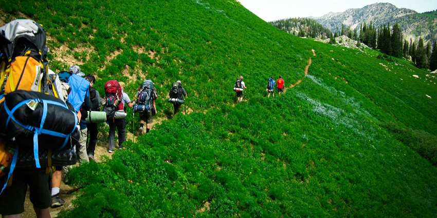 The view of a man in purple t-shirt with blue backpack, clear blue sky & lush greenery