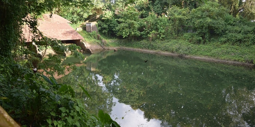 Hill Palace Museum, one of the best museums in Kerala, takes one to an amazing tour.