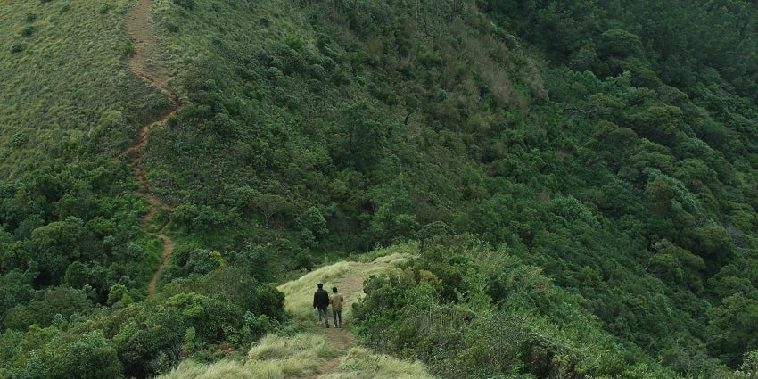 Hill surrounded and covered in lush jungles of Idukki district of Kerala - Messapulimala