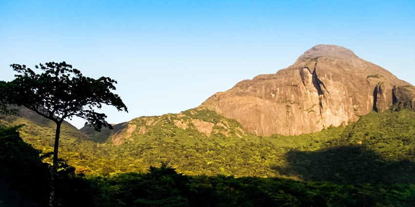 Golden hues of sun reflecting on the Agasthyakoodam hills offering a pleasing sight