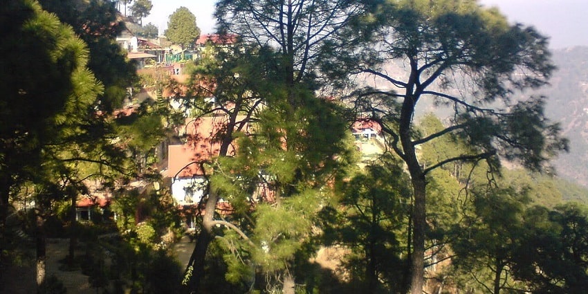 Kasauli is an ideal place for nature lovers seeking an escape from the city life