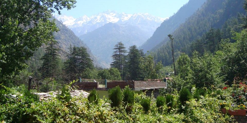 Forested fields of Kasol, one of the most scenic places to visit in Himachal in november