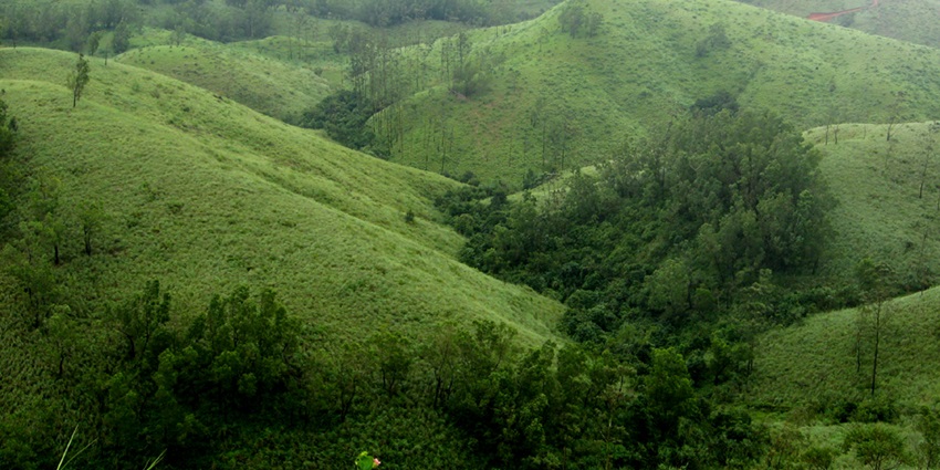 Verdant hills of Vagamon offering panoramic views of the luscious forest all around