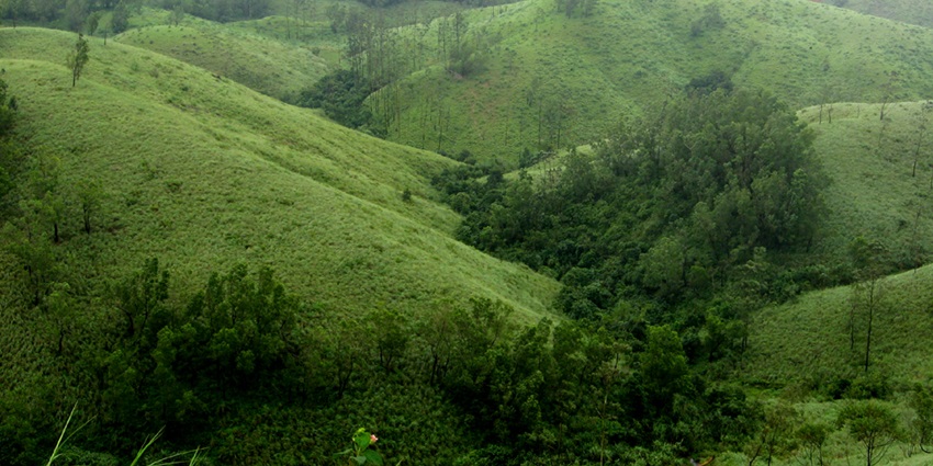 Vagamon paragliding offers the vibrant emerald view of the vagamon hills surrounding