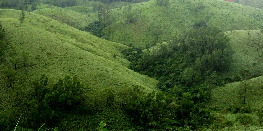 Vagamon is one of the best places to visit in Kerala in May for adventure seekers.
