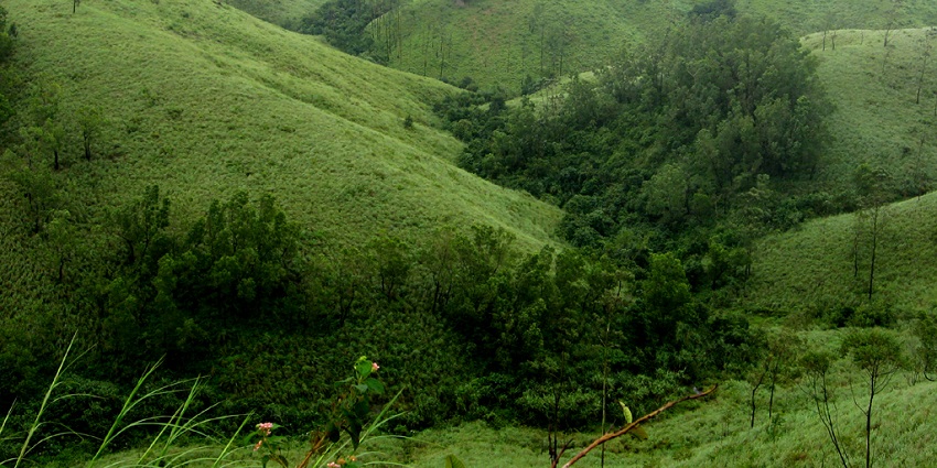 The Vagamon Adventure Park address can be easily found amid the hills of Vagamon.