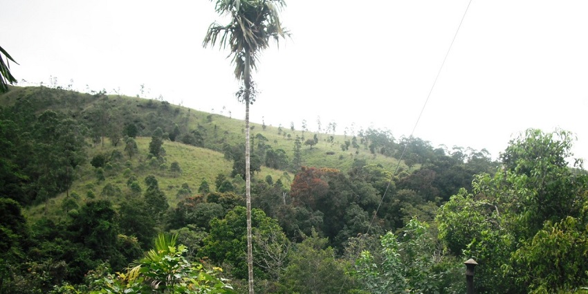 Hills of Vandiperiyar offering a pleasing sight for those seeking an escape to nature’s lap