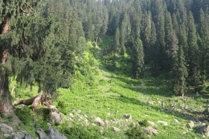 Hirpora Wildlife Sanctuary is filled with lush green forests and scenic meadows