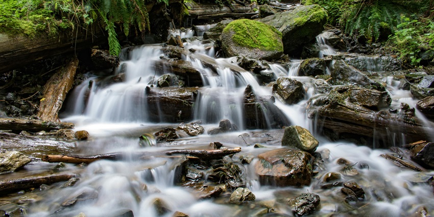 The waterfalls are an amalgamation of several small streams that are formed in a pool.