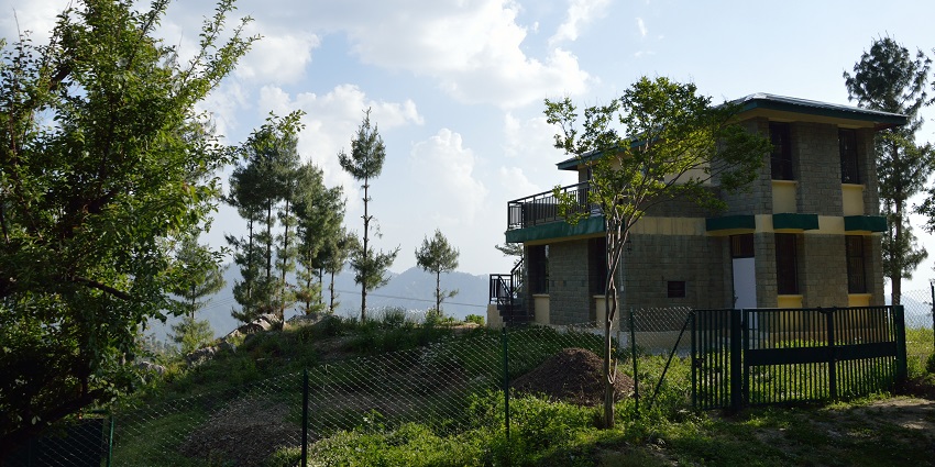 Relish the scenic views of lush green valleys & enjoy amazing things to do in Mashobra