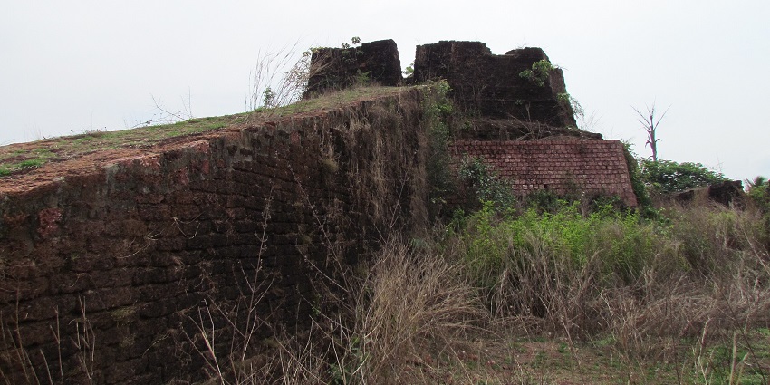 A picture of the ruins of a fort in Bekal with wild weeds growing all around the place