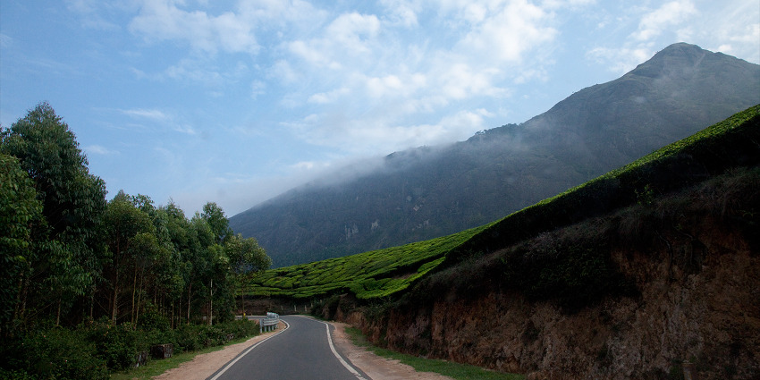 The enchanting hill of Meesapulimala Trekking is covered in lush green forest
