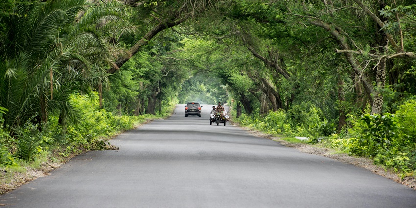 Image of straight road surrounded by lush green scenery, stretching into the horizon