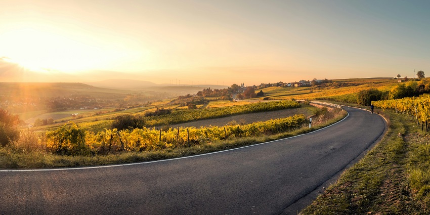 A view of a narrow road leading up to a mountain encircled by green trees during sunset.