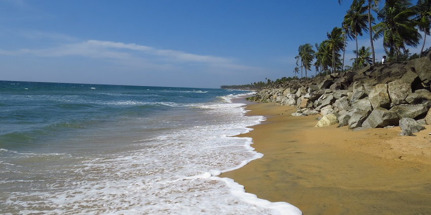 Palm trees, sandy shores and the turquoise offering you the perfect marine experience