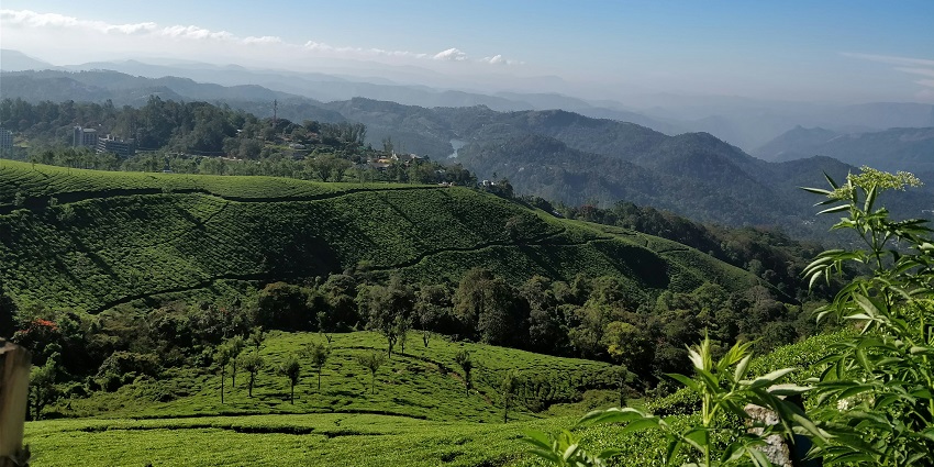 A breathtaking view of a lush green mountain range under clear blue skies during the day.