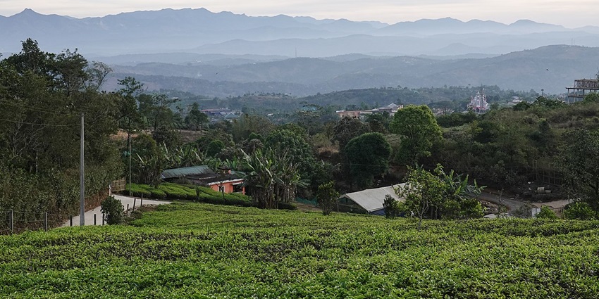 Panoramic view of Idukki town covered by the dense green forest and hills