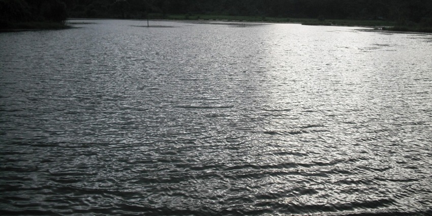 The Idukki Wildlife Sanctuary address can be easily accessed via public transport.