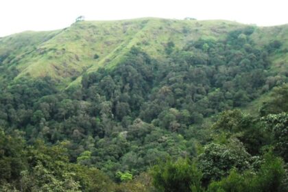 Located in the Western Ghats, Idukki Sanctuary is one of the finest sanctuaries in India.