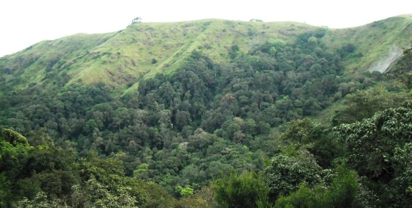 Located in the Western Ghats, Idukki Sanctuary is one of the finest sanctuaries in India.