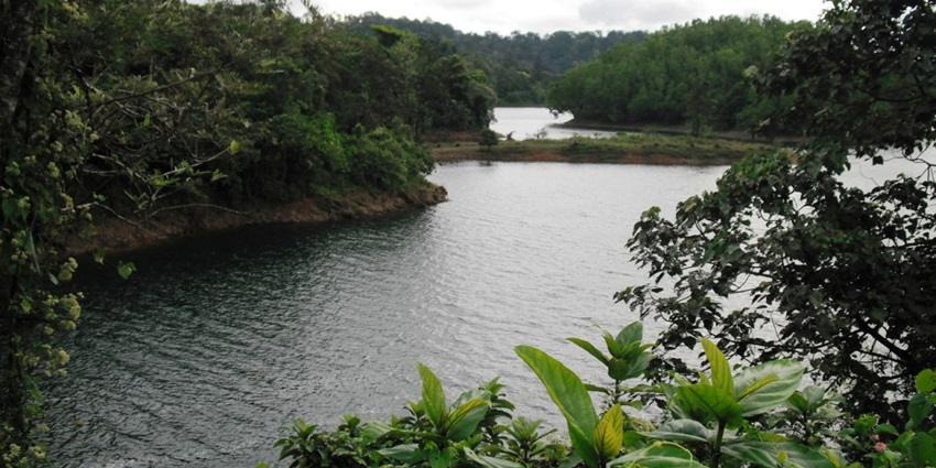 Road passing through the Sanctuary which is one of the best places to visit in Kerala in August