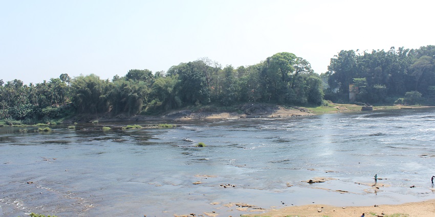 A village in Thrissur with dense forests