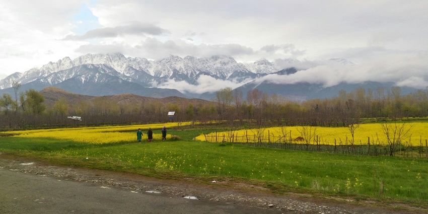 Anantnag is one of the best places to visit in Kashmir in August for a unique experience.