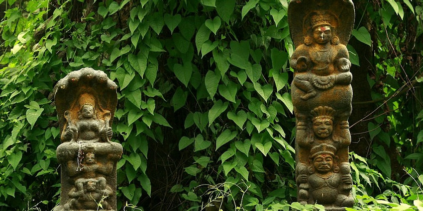 Pathira Kunnath Mana is considered one of the popular Nagaraja temples in Kerala