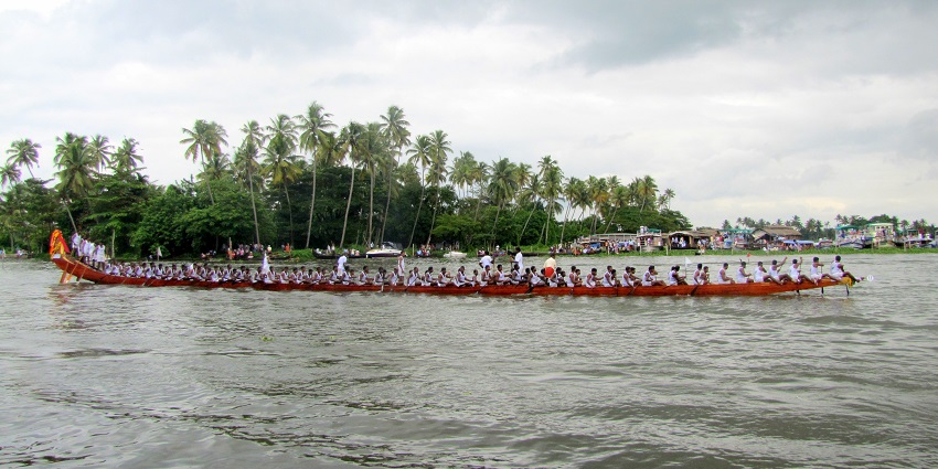 Experience the thrilling boat race in the backwaters in Kochi