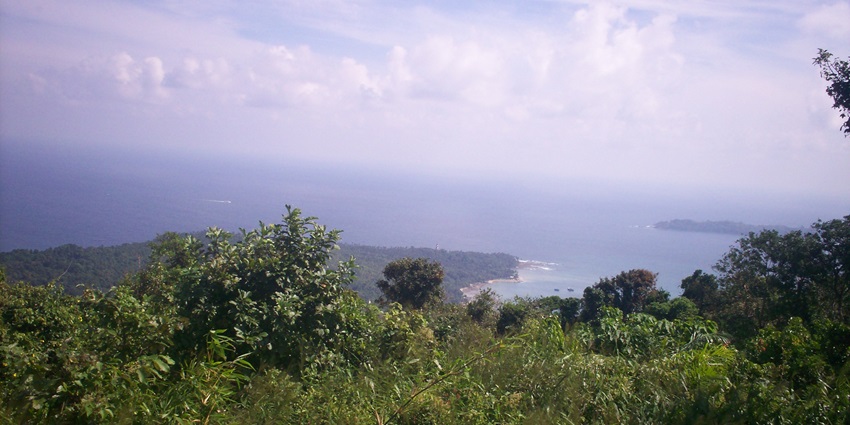 Indira Point, featuring pristine beaches and dense coastal vegetation - near National Park