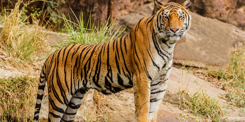 Visiting interpretation centres is the best things in the Malabar Wildlife Sanctuary.