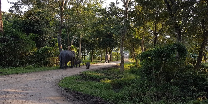 Interview Island: One of the amazing wildlife sanctuaries in Andaman and Nicobar.