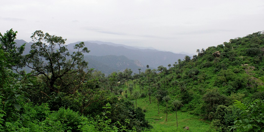 A mesmerising view of Irukallummudi, one of the best places to visit in Thodupuzha.