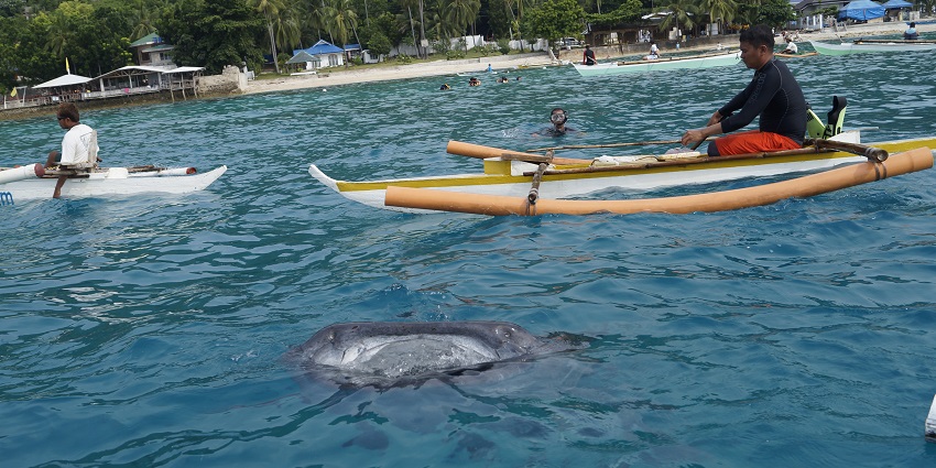 One of the things to do in Neil Island is to embark on an island hopping adventure
