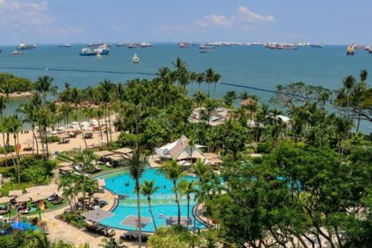 Aerial View of Swimming Pool Surrounded by Green Trees - Islands near Singapore