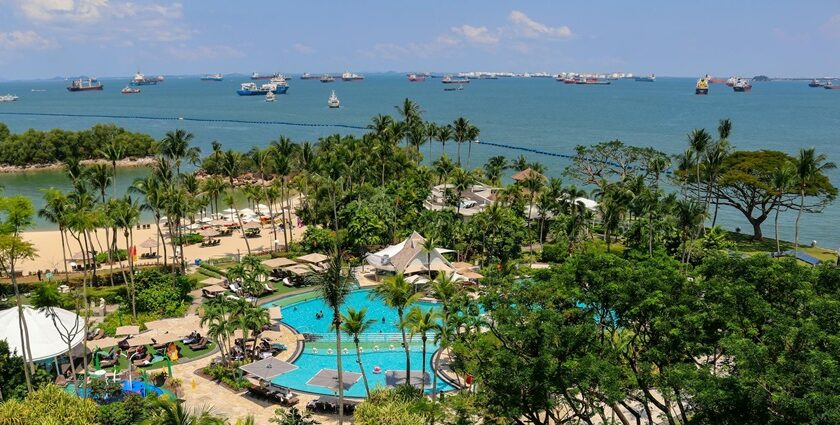 Aerial View of Swimming Pool Surrounded by Green Trees - Islands near Singapore