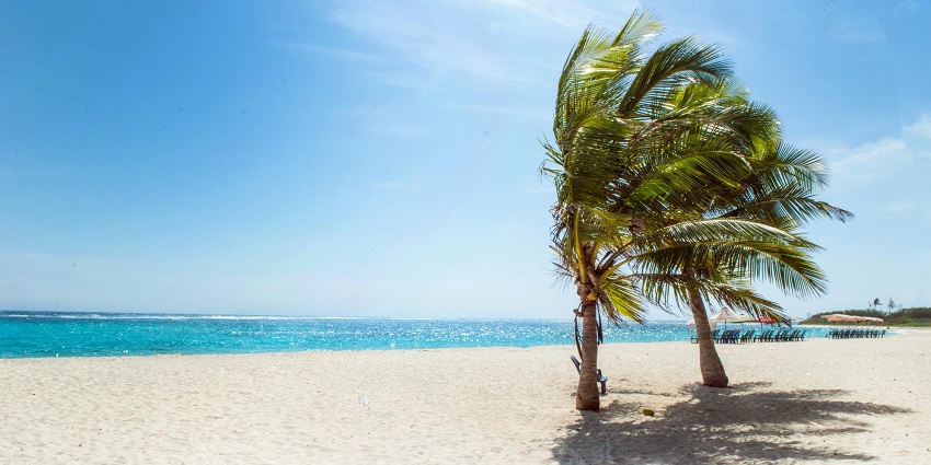 An island with clear blue sea and palm trees. This is one the best islands in Andaman.