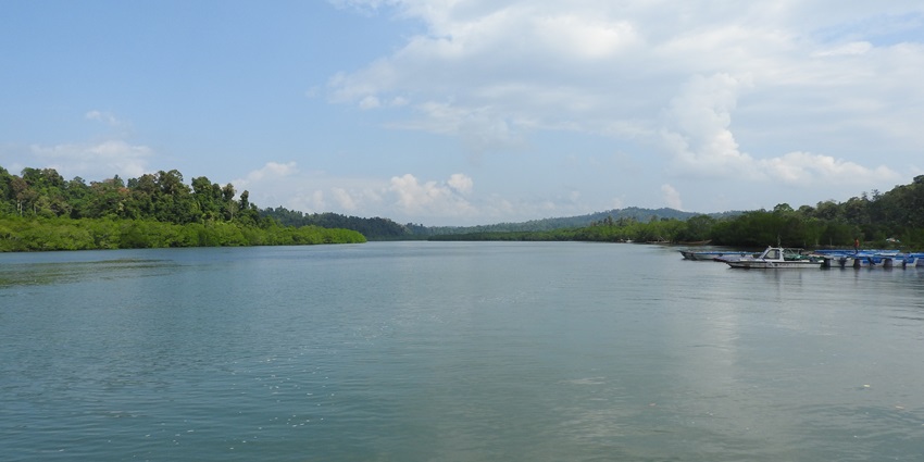 A mesmerising view of the Baratang Island with clear blue water and trees around it.