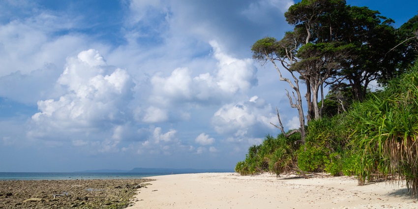 Enjoy unique things to do in Varkala with an unwinding Kerala vacation with loved ones