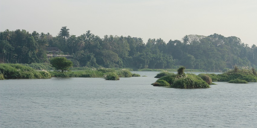 Ponnumthuruthu island is one of the best place for tourist seeking solitude and peace