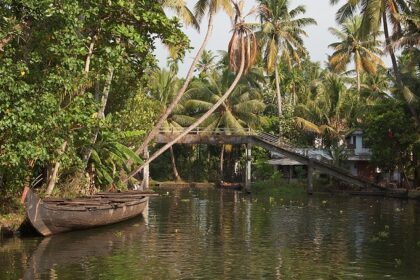 A view of the Kerala backwaters