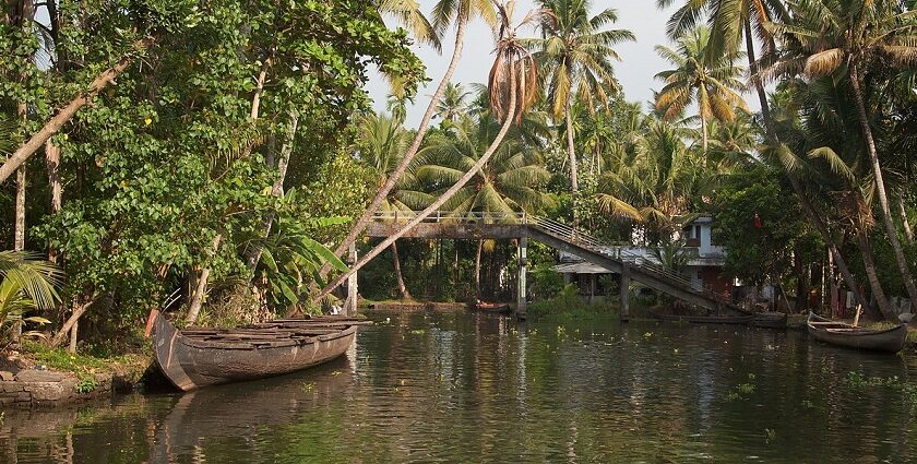 A view of the Kerala backwaters