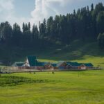 A view of the lush green landscapes of the Katra mountains in Jammu and Kashmir