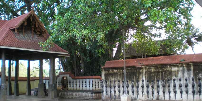 Enjoy the exciting things to do in Varkala with a relaxing getaway with loved ones
