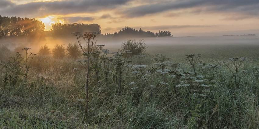 A picture of a lush green landscape during sunrise with orange hues spread all around