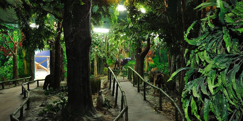 Witness the journey of tribals at Jharkhand Tribal Research Institute and Museum.
