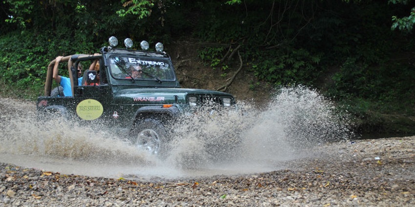 A fun and thrilling jungle safari is one of the most enjoyed things to do in Athirapally